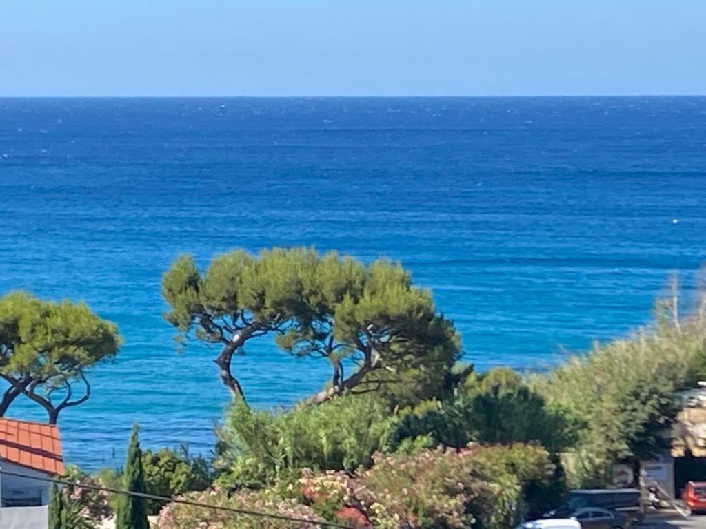 Face A La Mer, Cassis Et Son Cap Canaille Exterior photo